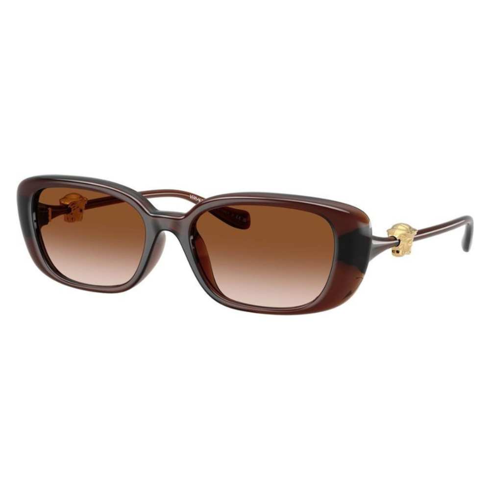 Untitled design (82) VERSACE SUNGLASSES- VE4504-D 5332/13 56 - Image 1