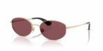 BURBERRY SUNGLASSES - B 3169 1109/1A 55